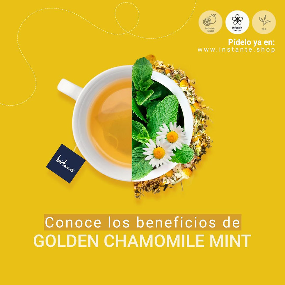 Miniatura: AROMATICA BITACO Golden/Chamomile x 10ud