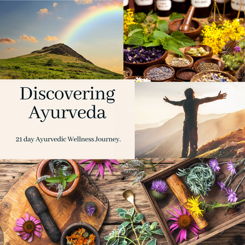 Discovering Ayurveda 21 Day Challenge + 5 day Cleanse Soul Space