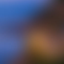 Festivals Worth Traveling For - One's Iv'e Experienced + Interested List