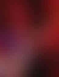 DJ playing an energetic house set at Sonus Festival, with the audience cheering and hands in the air.