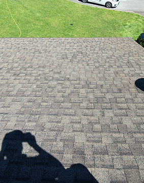 roof washing service