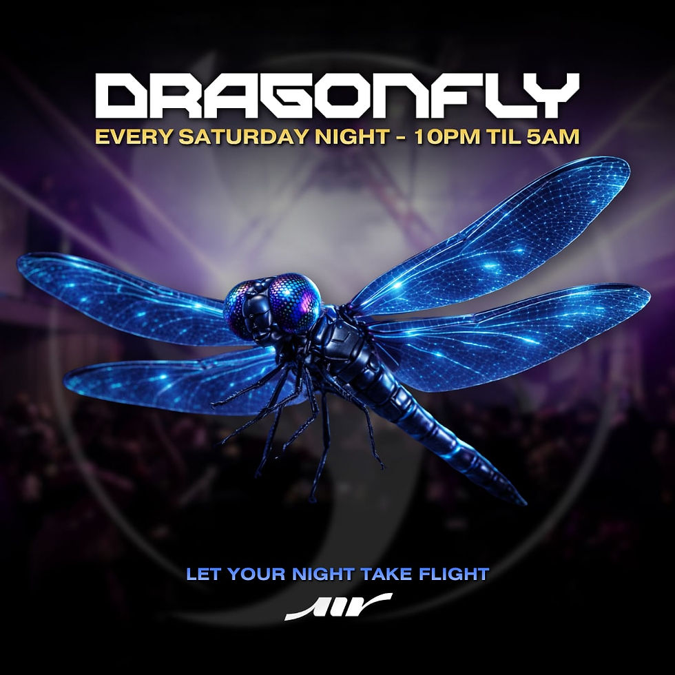 DRAGONFLY SATURDAYS