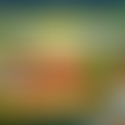 Fadiga desanimo cansaço e moleza