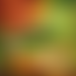 Própolis homeopatia e vermes