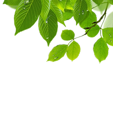 hiclipart.com (48).png