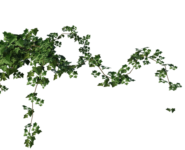 hiclipart.com (93).png