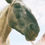 Thumbnail: Desert Walker's Herd