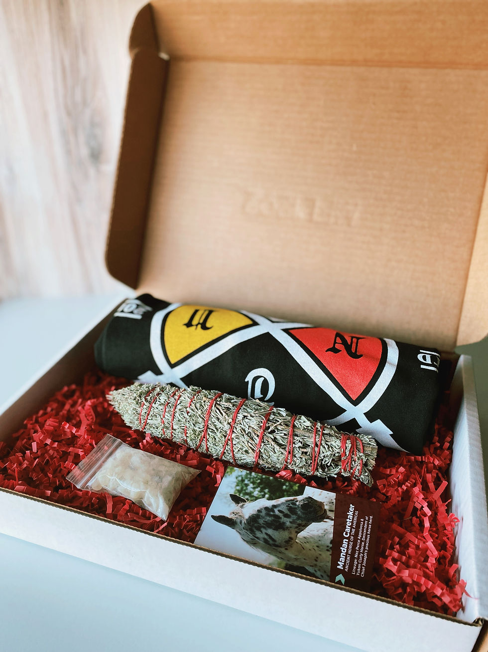 Thumbnail: Ultra Warrior Man Package