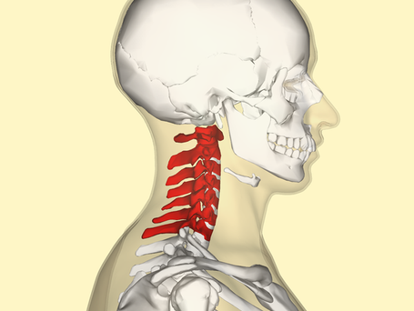 The Neck