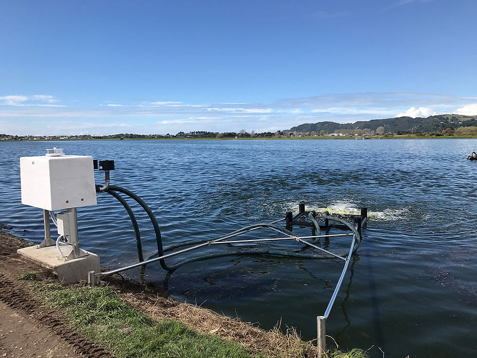 Whakatane rear mounted