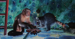 1077434-ak4ksrgbg22000004-1280