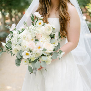 Justin & Allison  Chu