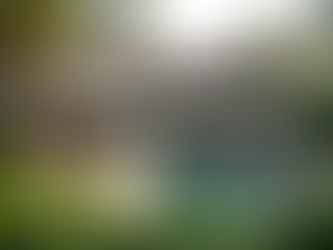 Top Property Opportunities India: Unlocking the Best Deals in the Market