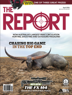 The Report Nathan Butcher