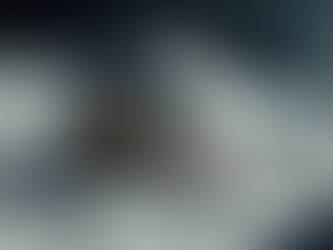 Understanding the Complexities of Lunar Life