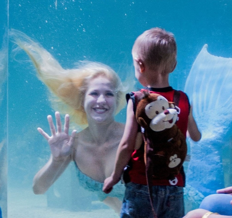 light-the-way-foundation-mermaid-events_