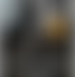 New Stevie Ray Vaughan book out Now !