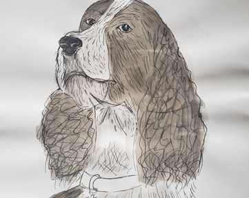 Dog in ink by April Ortiz.jpg