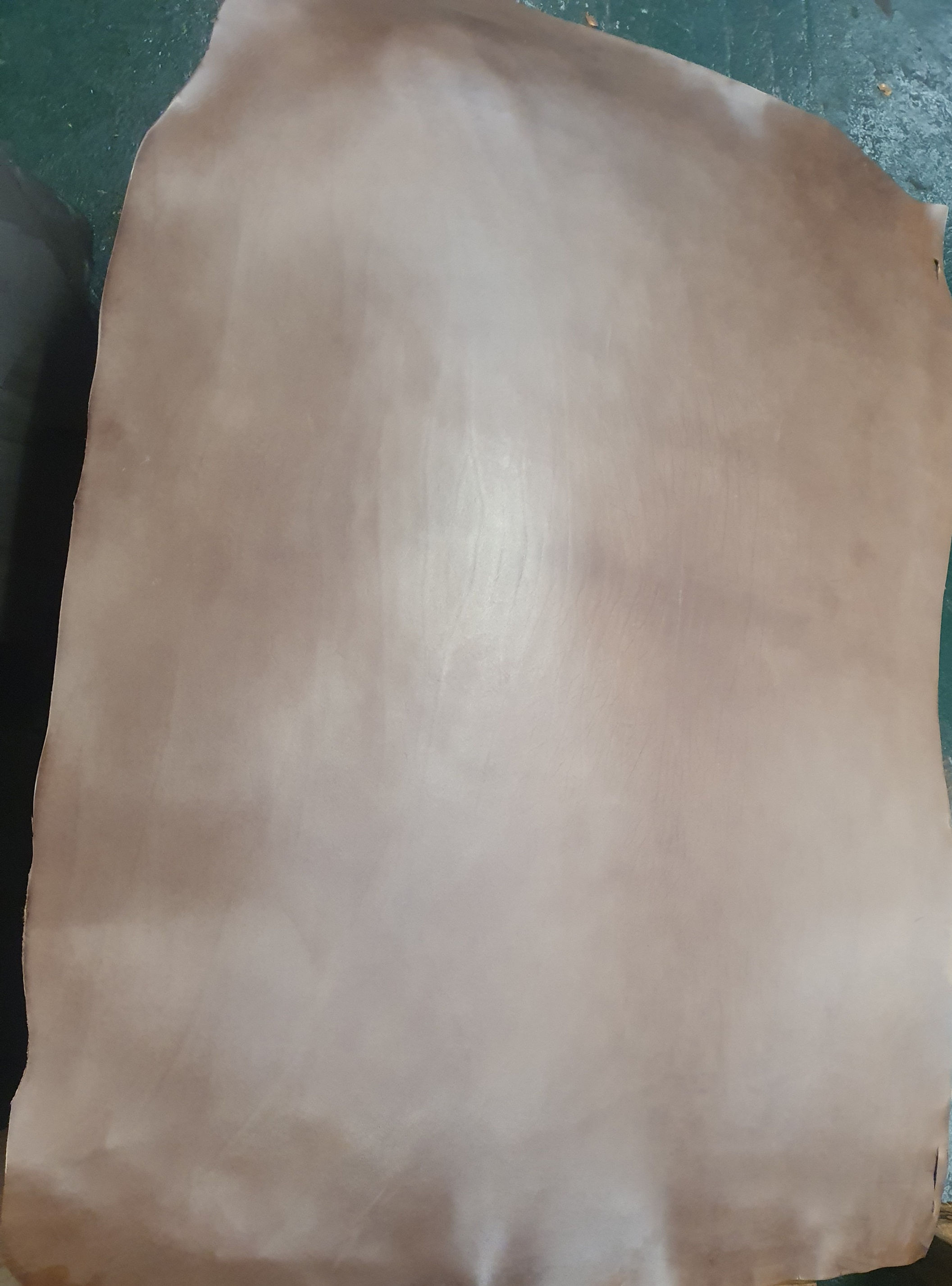 Full grain Shoulders Hazel