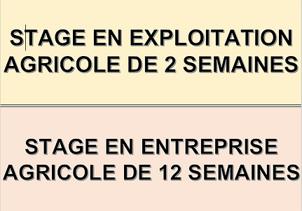 Capture d’écran 2022-06-28 à 15.53.51.png