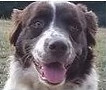 Gemma_edited_edited.jpg