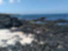 20221224_115646.jpg