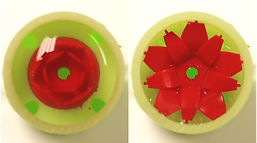 flower.png