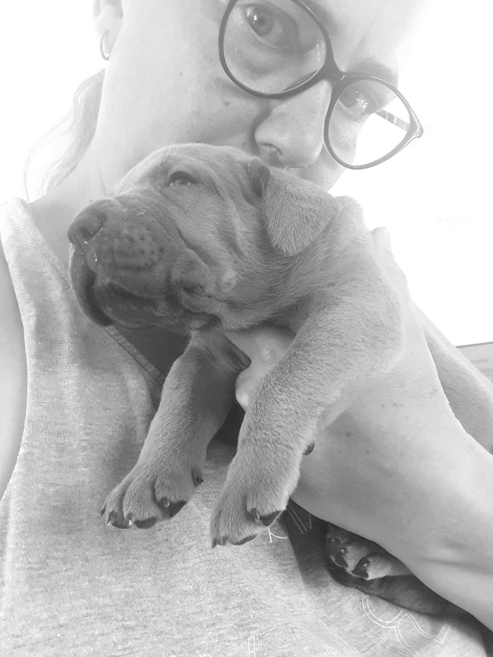 Les réseaux sociaux montrent des images. L'élevage, lui, reste avant tout une histoire reliant chiens et humains.