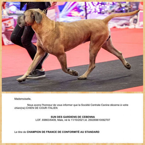 Sun des Gardiens de Cebenna devient Champion de France