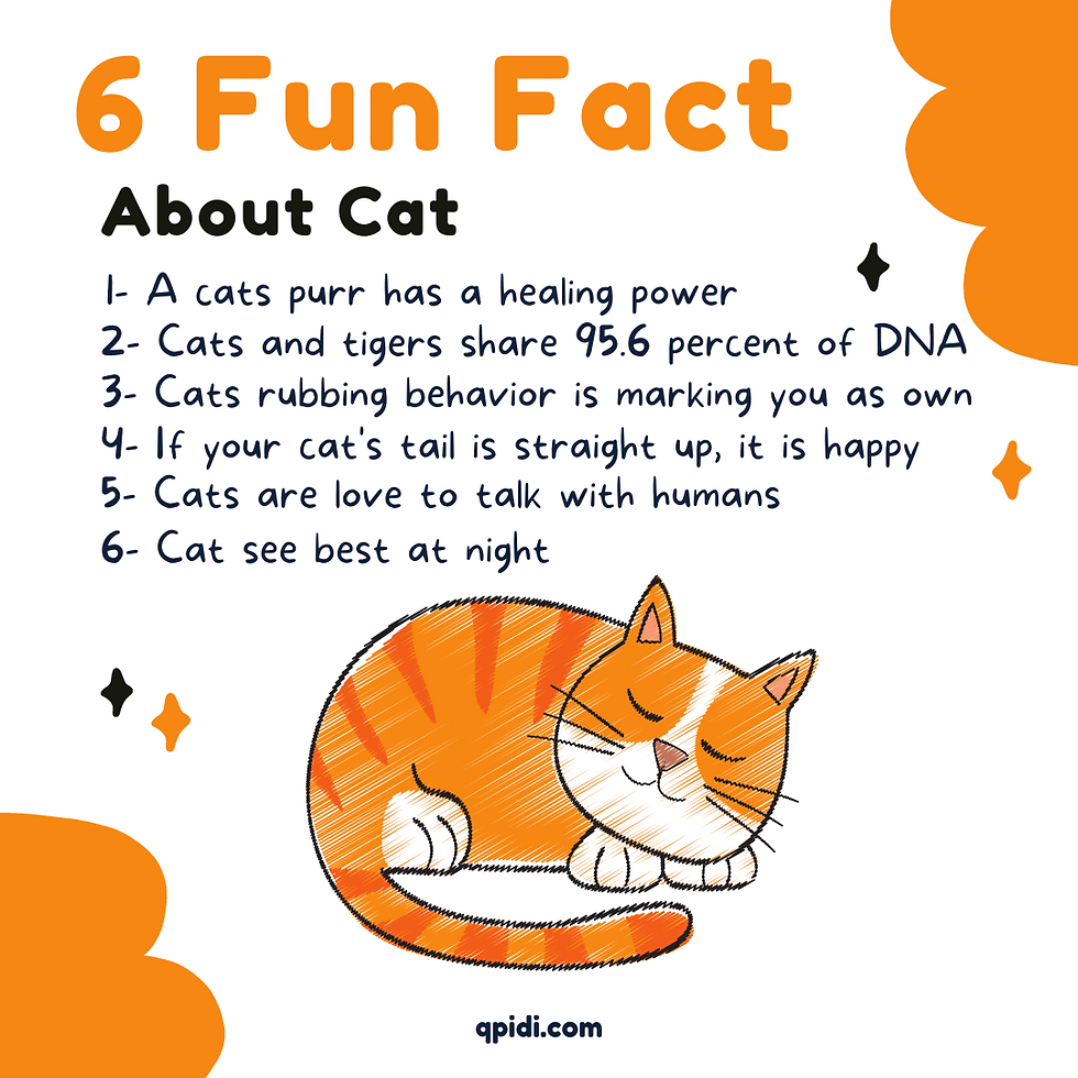 6 Fun Facts About Cat