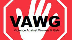 Joint briefing for House of Lords ahead of Report Stage of the Police, Crime, Sentencing and Courts