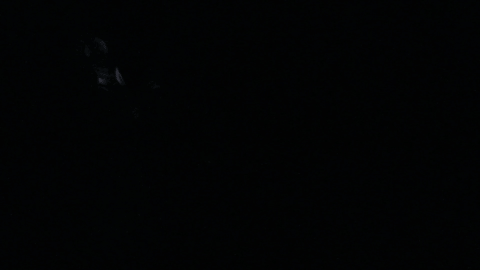 e5066260014721.5e10d163ef513.gif