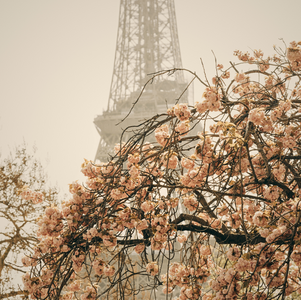 CÉLÉBRER LE PRINTEMPS À PARIS 
