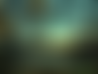 The Echoes of Lutetia