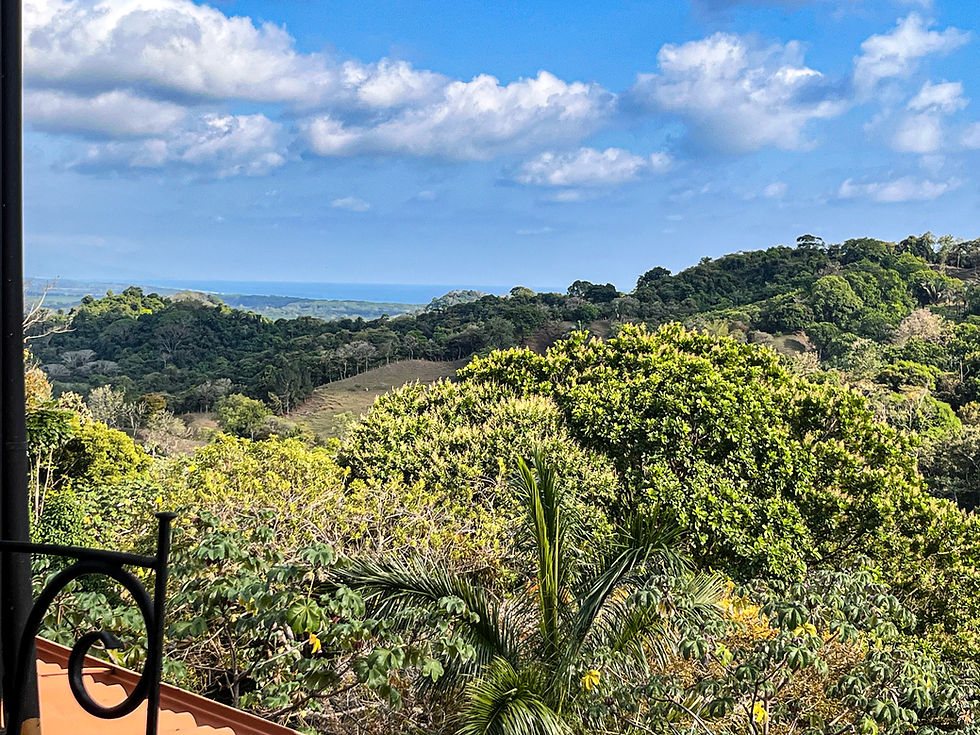 Terrace view