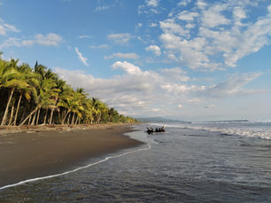 Dominical Luxury Villa Rental Guide