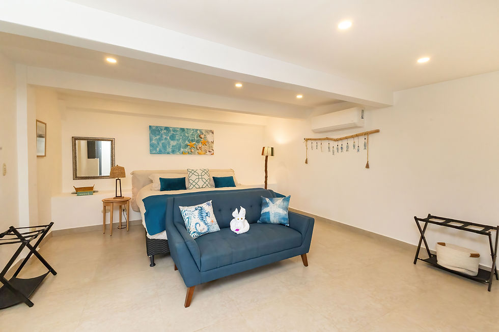 Sub Level Master Bedroom 2