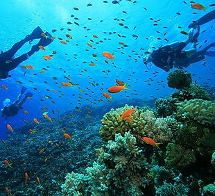 Scuba 