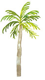 ck-inv-palm.jpg