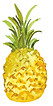 ck-inv-pineapple.jpg