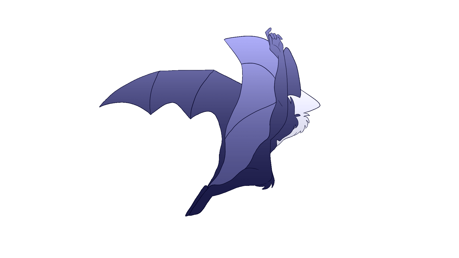 ezgif.com-animated-gif-maker.gif