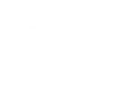 shark wheel.png