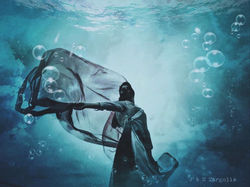 The Flower, So-Hwa's Dream