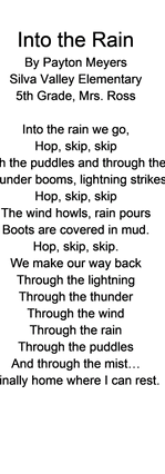 Into the Rain by Payton Meyers