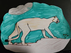 The Majestic Mountain Lion by Kaylee Ferkovich