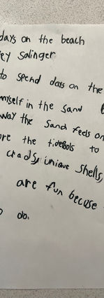 Days on the Beach by Wesley Salinger