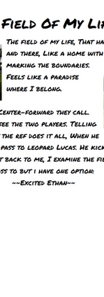 The Field Of My Life by Swapnil Solanki