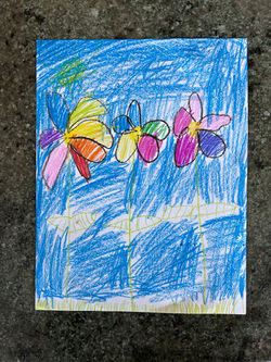 Nature Rainbow by Charlotte Massaglia