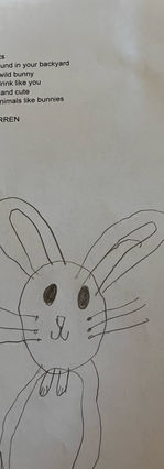 Wild Bunnies by Charlotte Warren