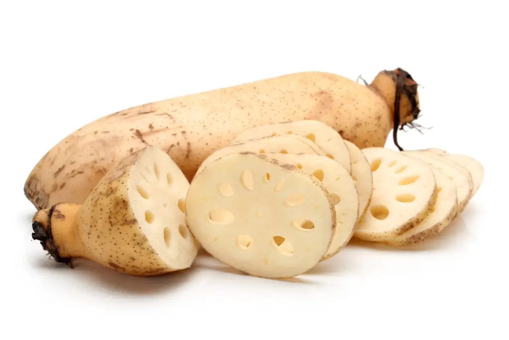 IQF Lotus Root